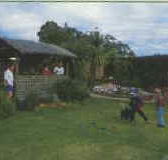 Tambo Lodge - Accommodation Mount Tamborine