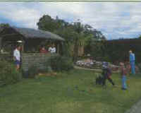 Tambo Lodge - Accommodation Mount Tamborine 0