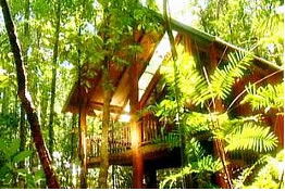 The Canopy Treehouses - Accommodation Mount Tamborine 0