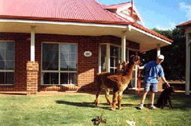 Nillup WA Accommodation Mount Tamborine
