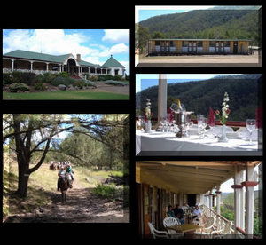 Bestbrook Mountain Resort - Accommodation Mount Tamborine 1