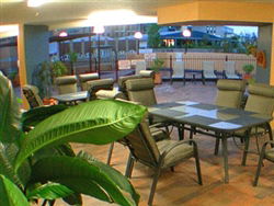 Astor Apartments - Accommodation Mount Tamborine 3