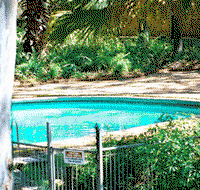 Forest Lodge Apartments - Accommodation Mount Tamborine