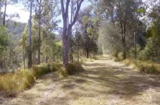 Toms Creek Retreat - Accommodation Mount Tamborine 1