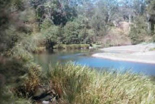 Toms Creek Retreat - Accommodation Mount Tamborine 4