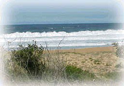 Hardys Bay NSW Accommodation Mount Tamborine