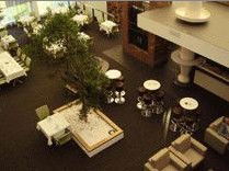 All Seasons Pavilion Hotel - Accommodation Mount Tamborine 4