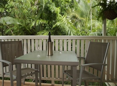 Port Douglas Retreat - Accommodation Mount Tamborine 4