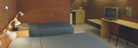 Pine Tree Motel - Accommodation Mount Tamborine 0