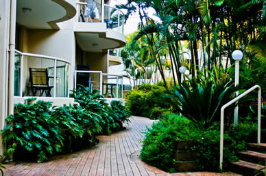 Miami Beachside Apartments - Accommodation Mount Tamborine 9