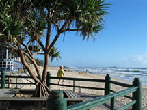 Burlington Holiday Apartments - Accommodation Mount Tamborine 5