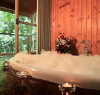 Tree Houses Of Montville - Accommodation Mount Tamborine