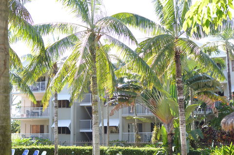 Cairns Beach Resort - Accommodation Mount Tamborine 1