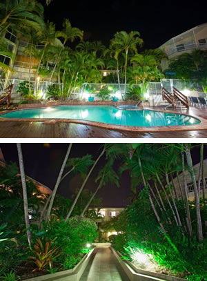 Surfers Del Rey - Accommodation Mount Tamborine 4