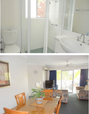 Surfers Del Rey - Accommodation Mount Tamborine 7