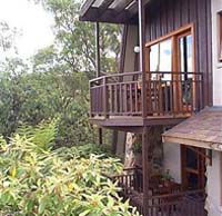 Studio Cottages Romantic Hideaway - Accommodation Mount Tamborine 0