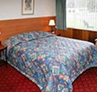Mt Lyell Motor Inn - Accommodation Mount Tamborine