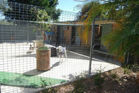 Beenleigh Pet Motel - Accommodation Mount Tamborine 4