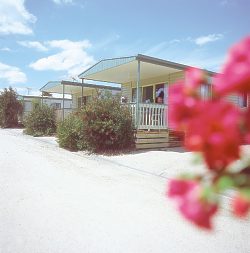 Eldorado Tourist Park - Accommodation Mount Tamborine 0