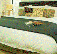 Sea Temple Resort  Spa - Accommodation Mount Tamborine