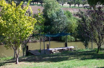 Colonial Inn Tamworth - Accommodation Mount Tamborine 3