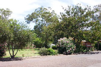 Colonial Inn Tamworth - Accommodation Mount Tamborine 4