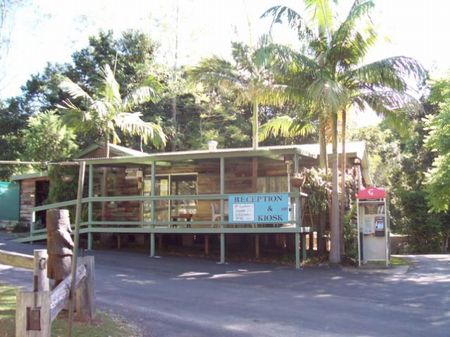 Mount Warning Rainforest Park - Accommodation Mount Tamborine 1
