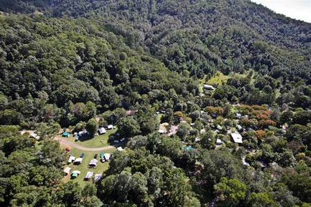 Mount Warning Rainforest Park - Accommodation Mount Tamborine 3