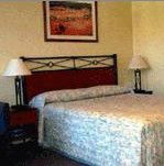 Ashfield Motor Inn - Accommodation Mount Tamborine 2