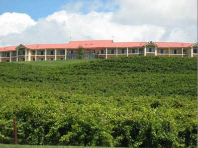 Turners Vineyard - Accommodation Mount Tamborine 4