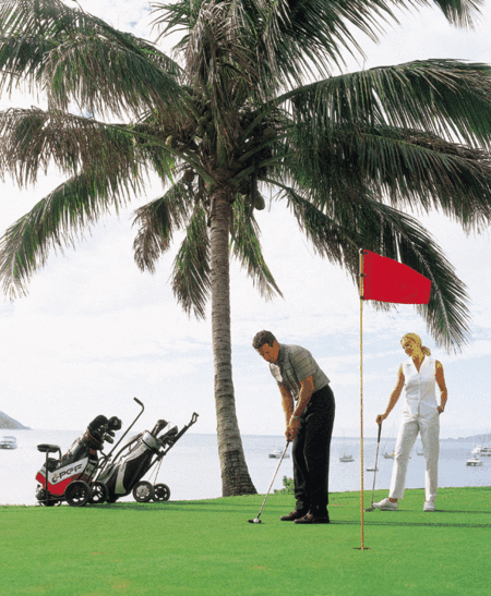 Adventure Island Whitsundays (south Molle Island) - Accommodation Mount Tamborine 2