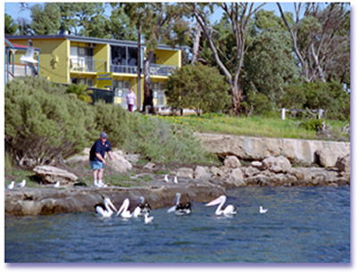 Almonta Holiday Apartments - Accommodation Mount Tamborine 0