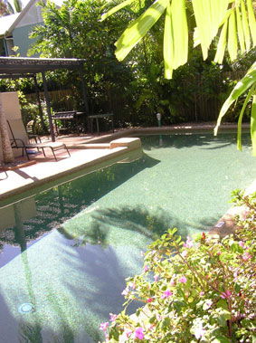 Nautilus Holiday Apartments - Accommodation Mount Tamborine 2