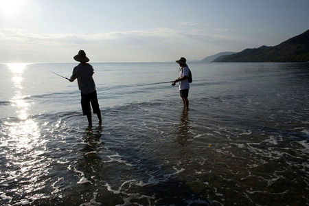 Central Plaza Port Douglas - Accommodation Mount Tamborine 5