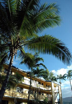 Palms At Trinity - Accommodation Mount Tamborine 3