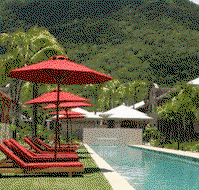 Mango Lagoon Resort And Wellness Spa - Accommodation Mount Tamborine