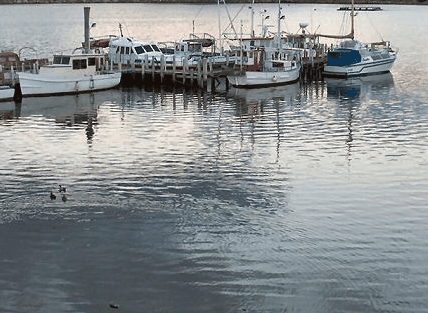 Hobart Apartments - Accommodation Mount Tamborine 1