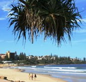 Mariners Caloundra - Accommodation Mount Tamborine