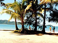 Beachcomber Coconut Caravan Village - Accommodation Mount Tamborine 3