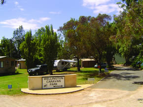 Wellington Caravan Park - Accommodation Mount Tamborine 0