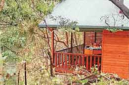 Tolga QLD Accommodation Mount Tamborine