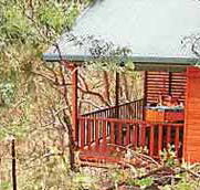 Allawah Retreat - Accommodation Mount Tamborine