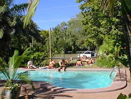 Dougies Backpacker Resort - Accommodation Mount Tamborine 0