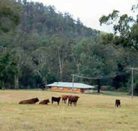 Shute Hill Country Retreat - Accommodation Mount Tamborine