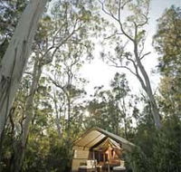 Paperbark Camp - Accommodation Mount Tamborine