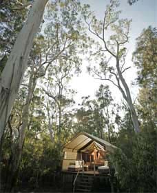 Paperbark Camp - Accommodation Mount Tamborine 0