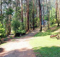 Hill 'n' Dale Farm Cottages - Accommodation Mount Tamborine