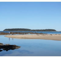 Mossy Point Holiday Rentals - Accommodation Mount Tamborine