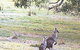 Kangaroo Ridge Retreat - thumb 0