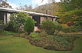 Tan - Y - Bryn - Accommodation Mount Tamborine 0